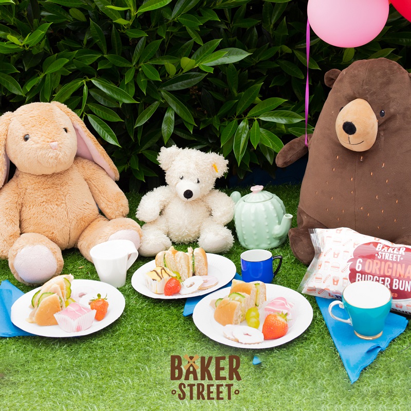 Teddy Bear Picnic